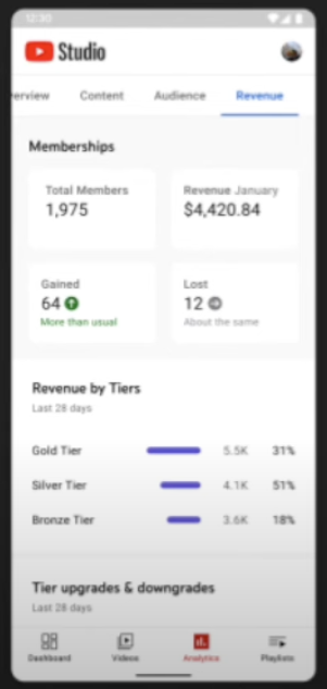 YouTube Adding More Analytics Data About Views &#038; Revenue