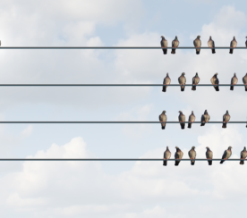 Focusing On SEO Alone Just Isn’t Enough. Here’s Why.