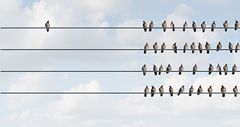 How To Dominate Google Merchant Center [Podcast]