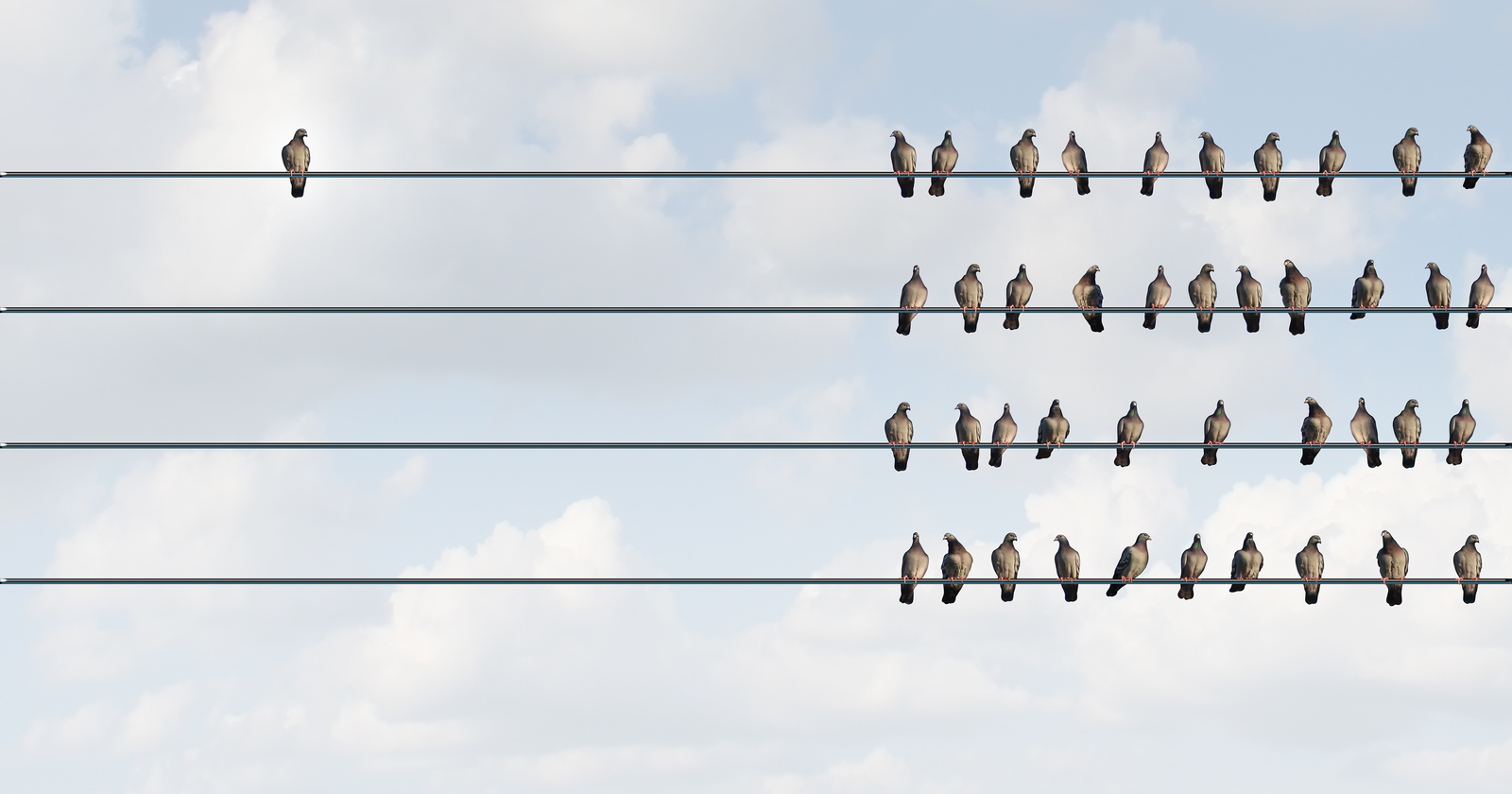 Focusing On SEO Alone Just Isn’t Enough. Here’s Why.