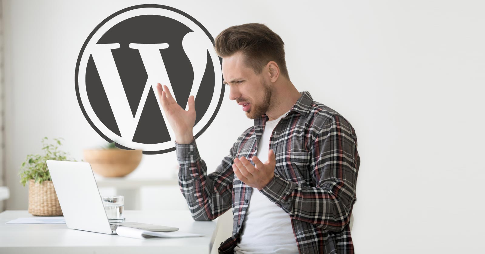 ACF WordPress Plugin