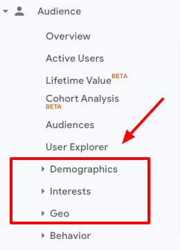 Analytics Demographics