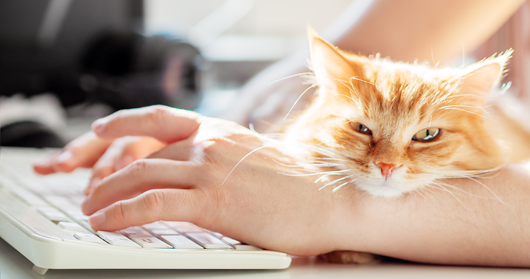 National Pet Day: How Our Fur-Babies Are Changing The Way We Work