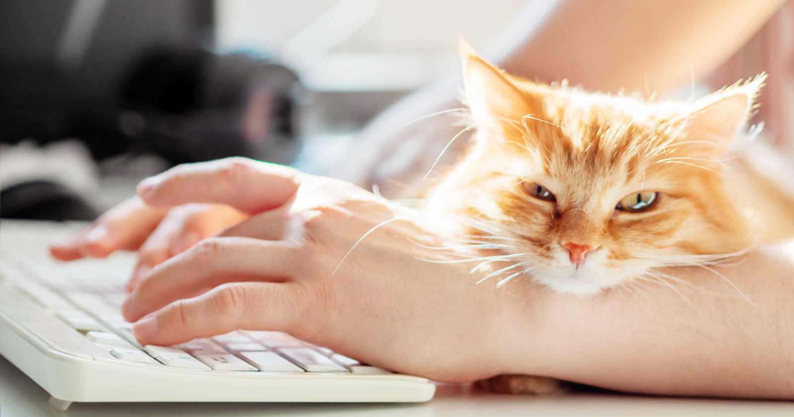 National Pet Day: How Our Fur-Babies Are Changing The Way We Work