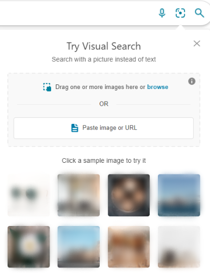 Sample visual search on Bing