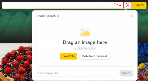 yandex search by image