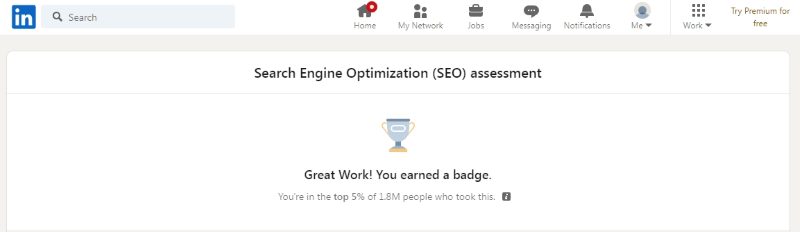 SEO assessment from LinkedIn