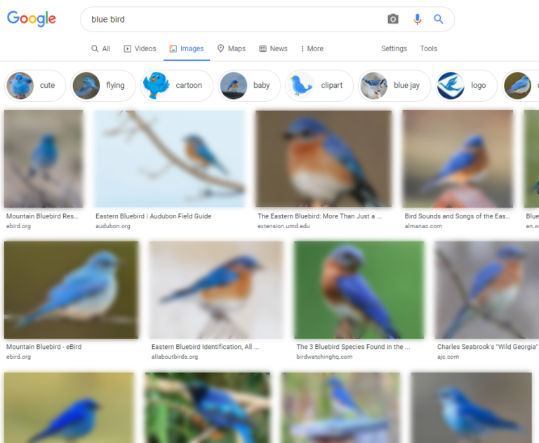 Google Image Search