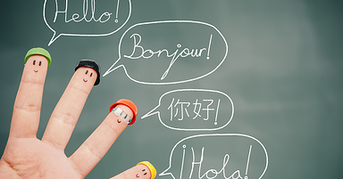 How Does Google Handle Page Titles In Multiple Languages?