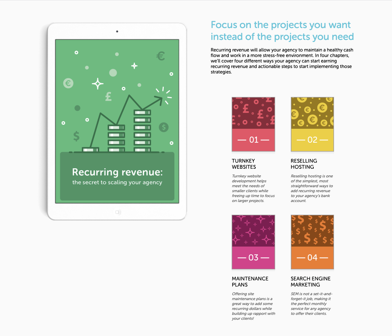 ebook landing page example_show the product