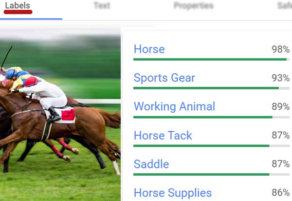 Screenshot of Google Vision AI identifying objects within an uploaded photo
