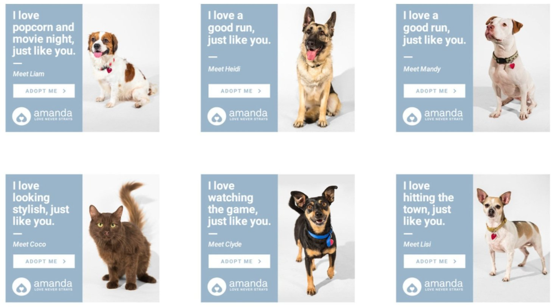 tailored ads, different animals featured for individuals