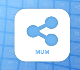 Is Google’s MUM A Search Ranking Factor?