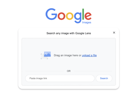 screenshot of google images search engine 6323f0e741619 sej 480x324 - How to Do a Reverse Video Search (& Why It’s Useful)