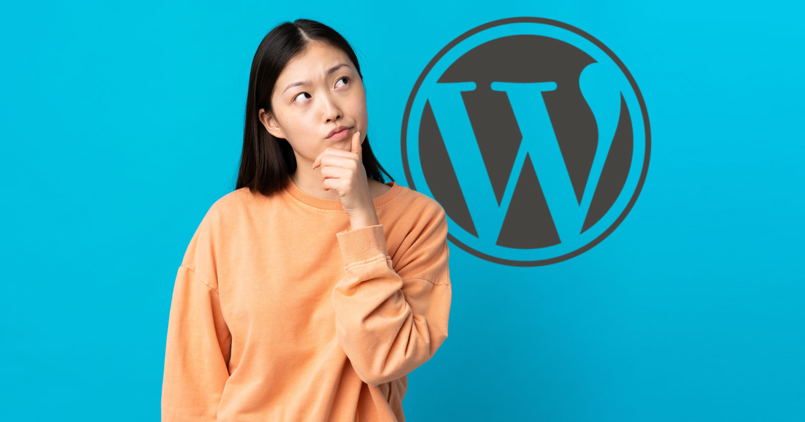 WordPress Ending Security Support