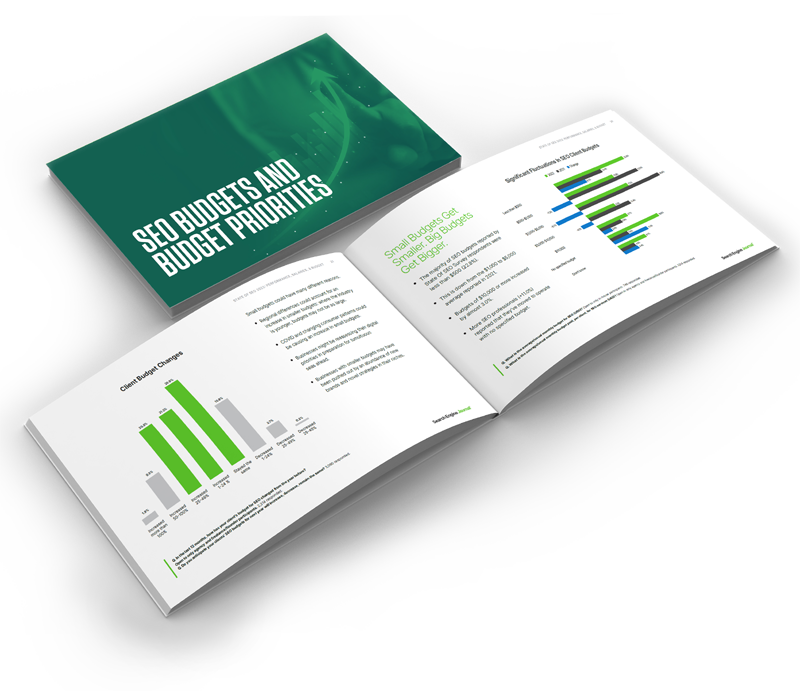 State Of SEO: Performance, Salaries & Budgets