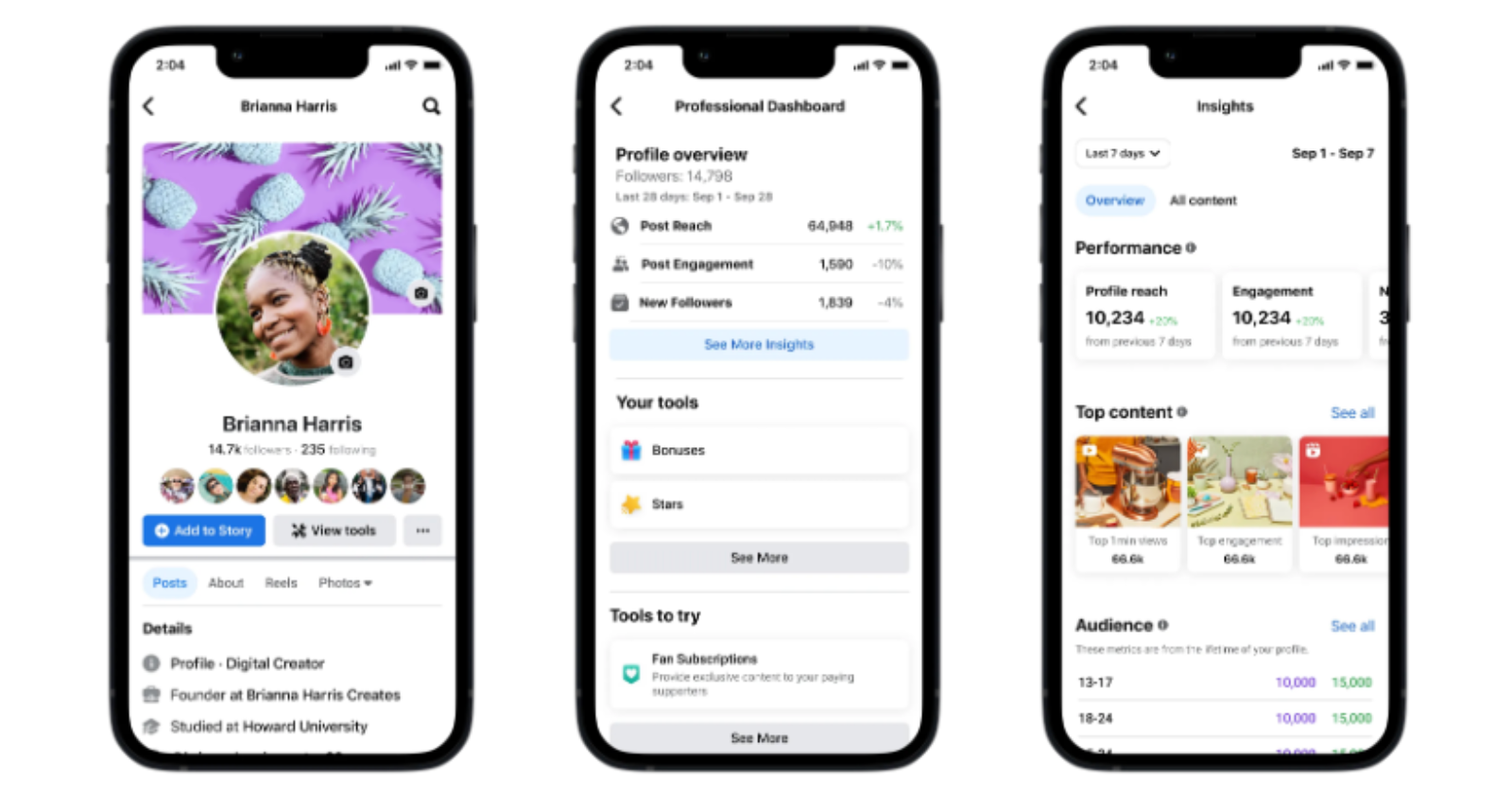 Facebook Expands Professional Profiles To All Users