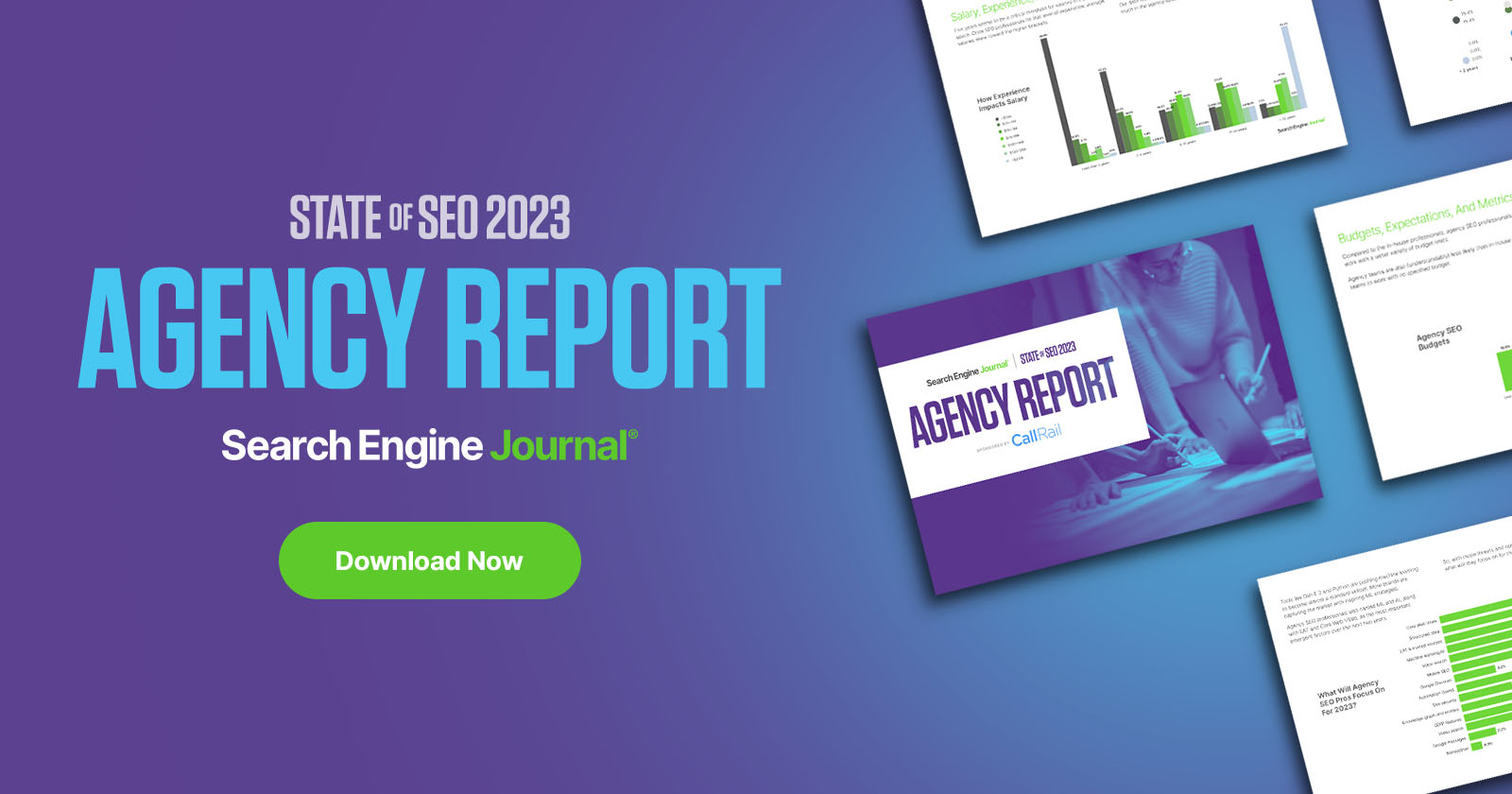 Download SOS Agency Report