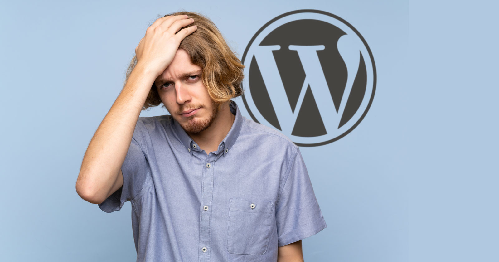 WordPress vulnerability