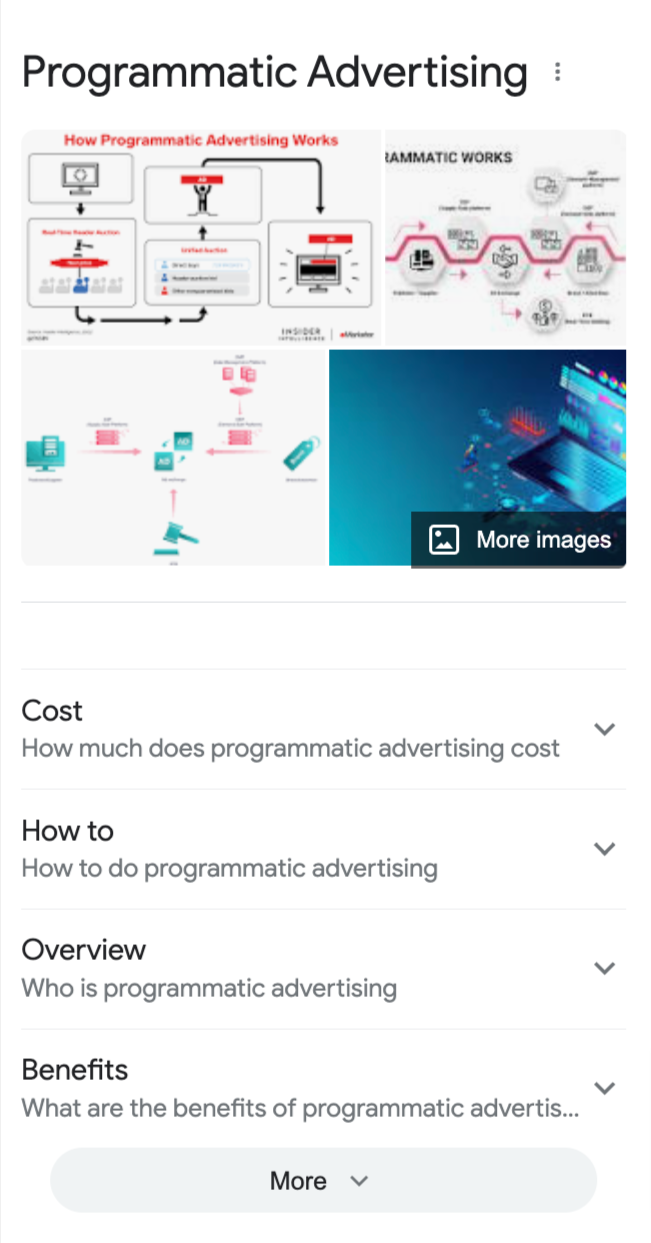 Screenshot of Google’s Things to know section for the search query “programmatic advertisement”, Google, February 2023.