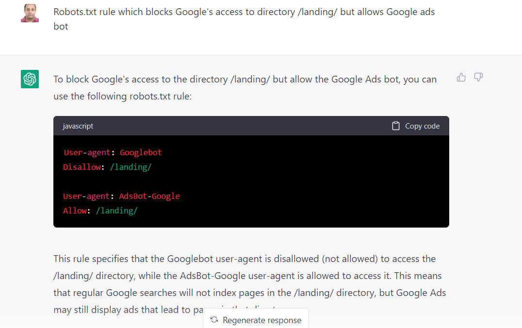 Robots.txt rule created by ChatGPT