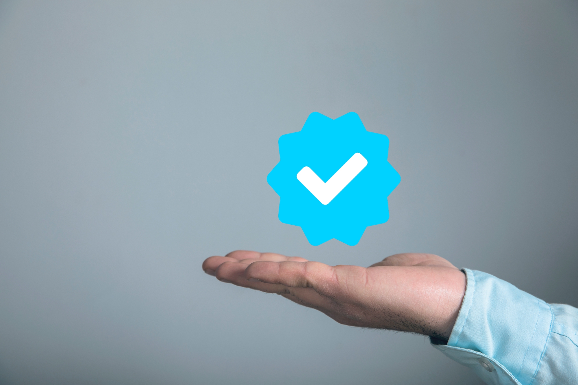 ¿Debería invertir en la verificación pagada de Twitter Blue o Meta Verified?