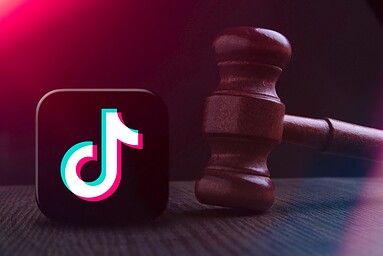 TikTok CEO To Testify In Hearing On Data Privacy And Online Harm Reduction