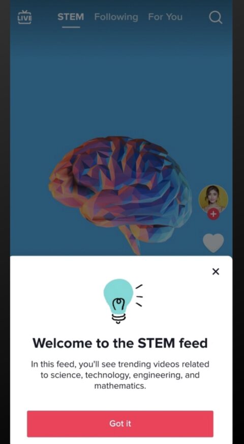 tiktok stem feed