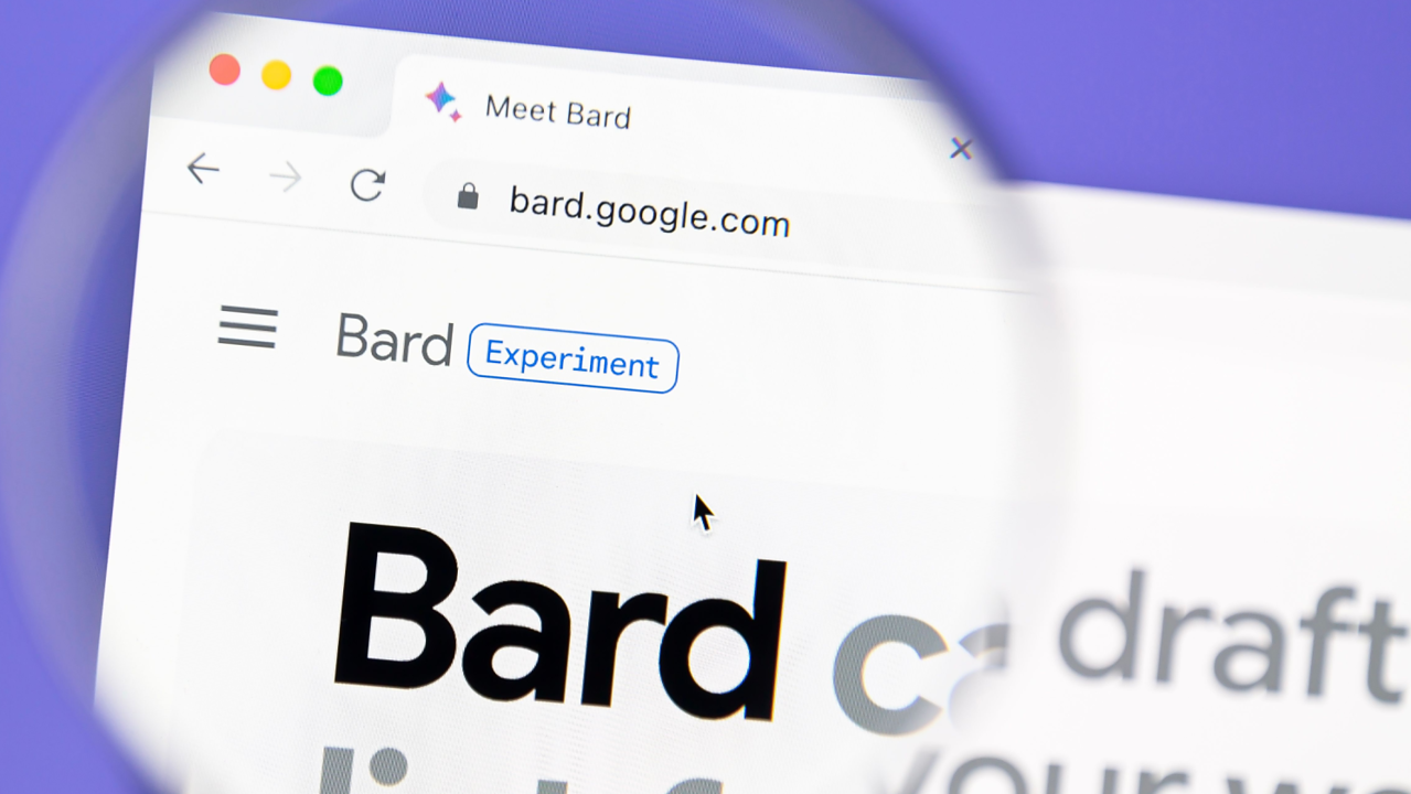 Google Bard Test User