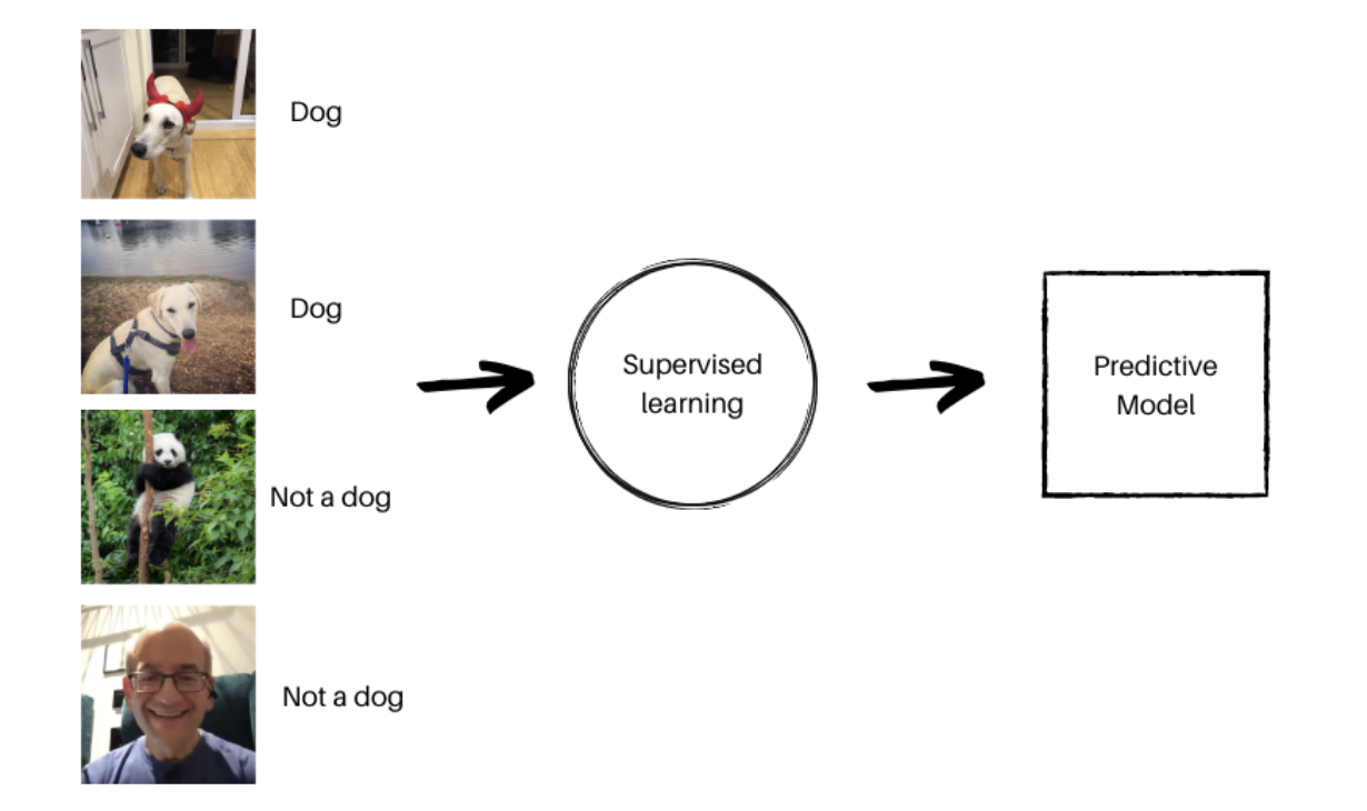 screenshot 2023 03 25 at 19.36.03 642b14752883e sej - Machine Learning Examples For The Real World