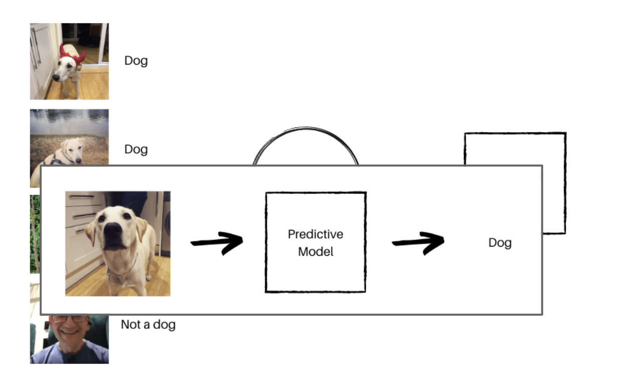 Supervised predictive learning visual