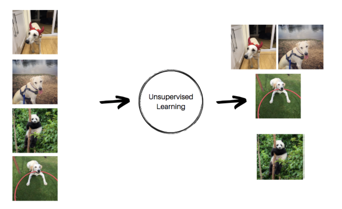 Unsupervised learning visual