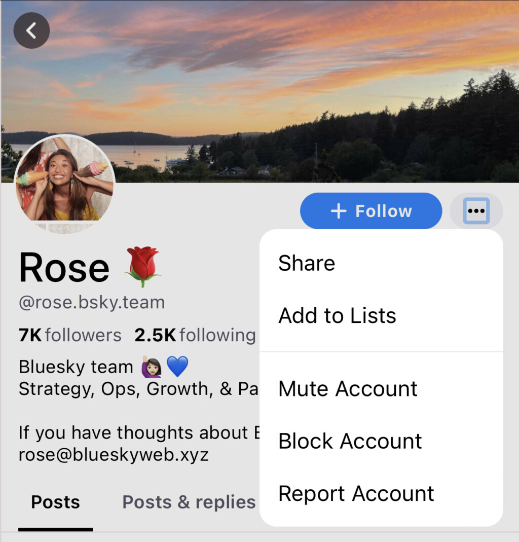 Social media is too important to be controlled by a few Bluesky