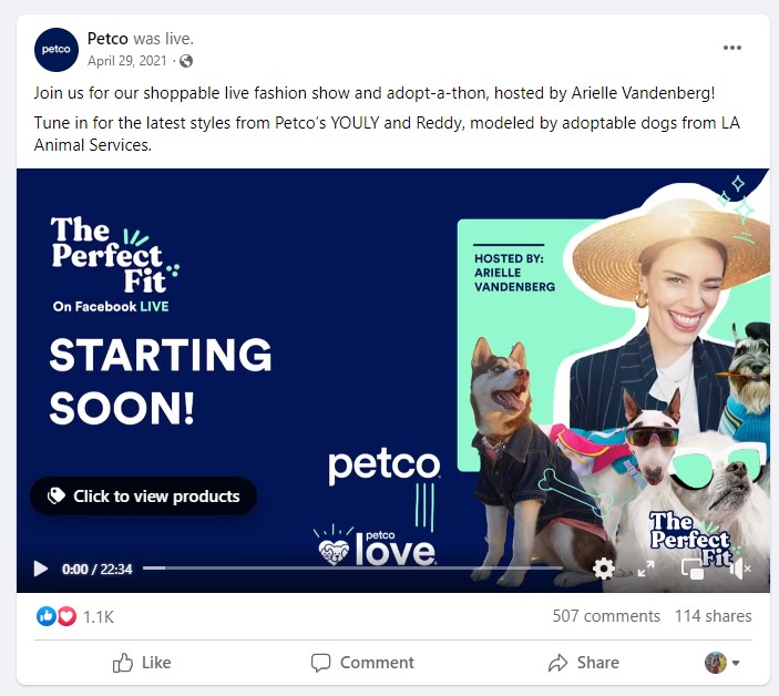 Пример инновационного контента для прямых трансляций Petco