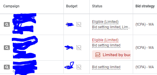 Shared budget with portfolio bid strategy