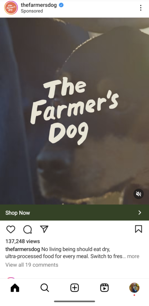 The Farmer's Dog