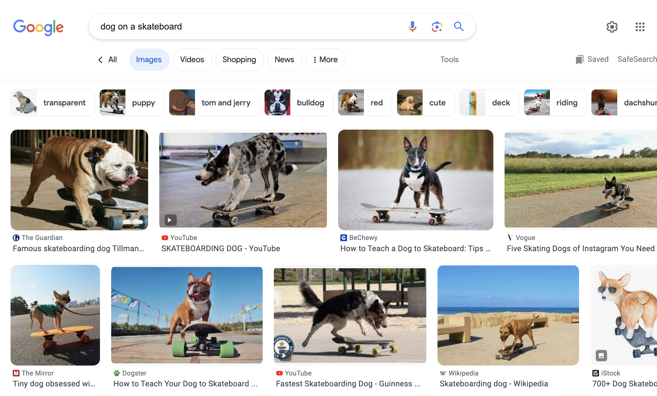  on a skateboard: Google search