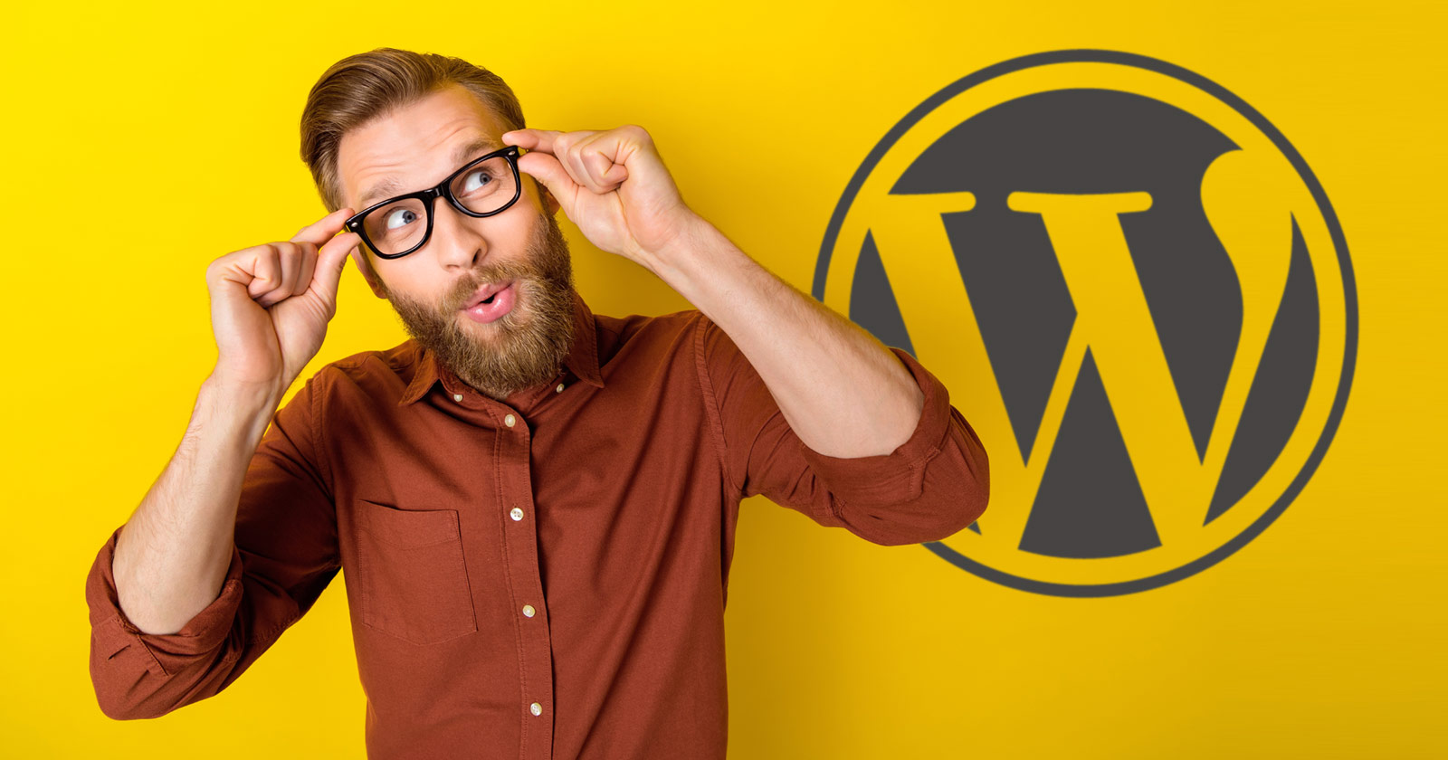 WordPress Declares 100-12 months Area Title Registrations