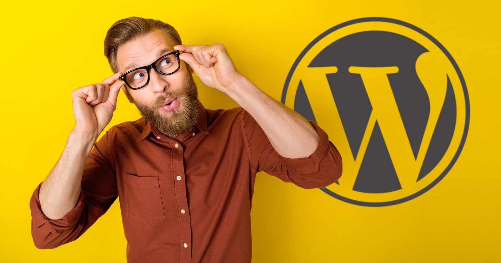 WordPress 100 Year domain name registrations