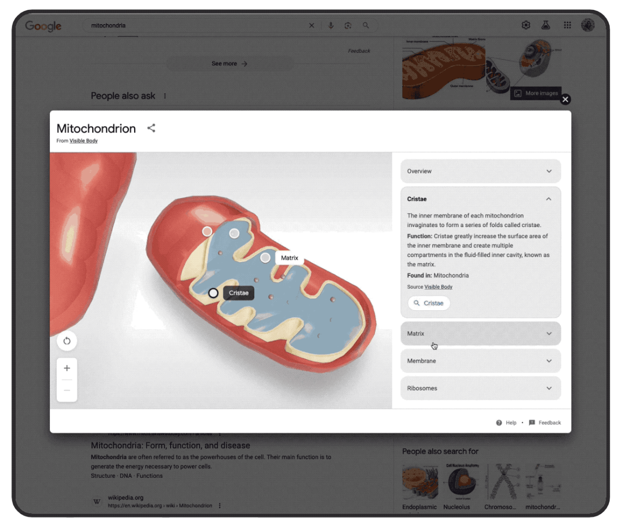 Google lance de nouveaux outils de recherche pour vous aider en mathématiques et en sciences