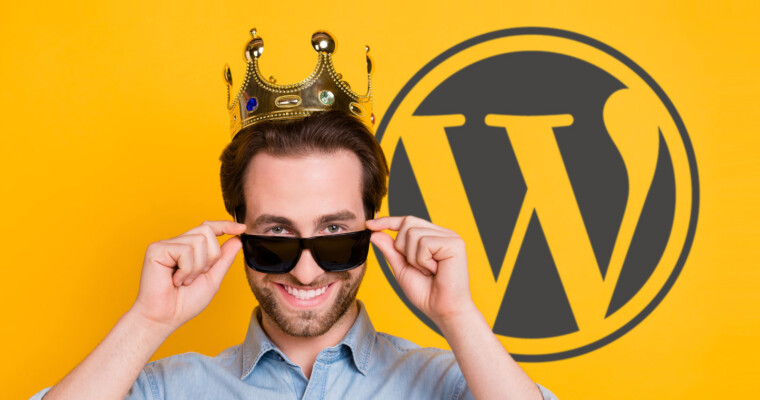 WordPress 6.4 Release Contains +100 Performance Wins