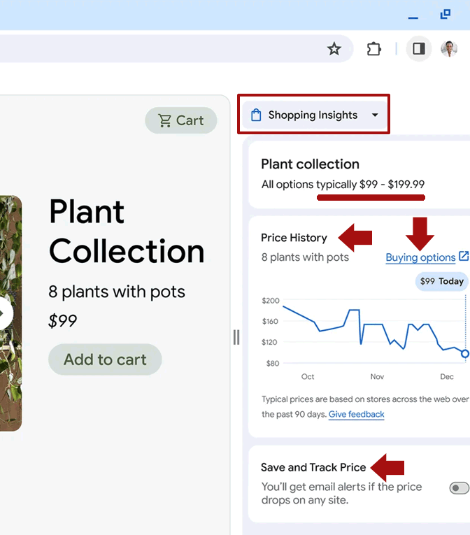 Chrome Shopping Insights Tab