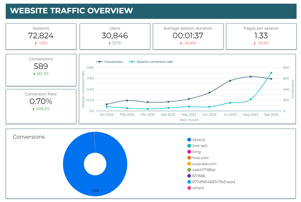 Website Traffic Overview