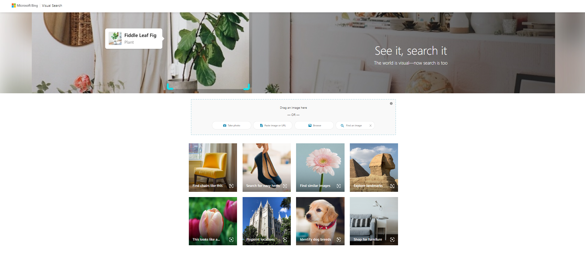 Bing Visual Search