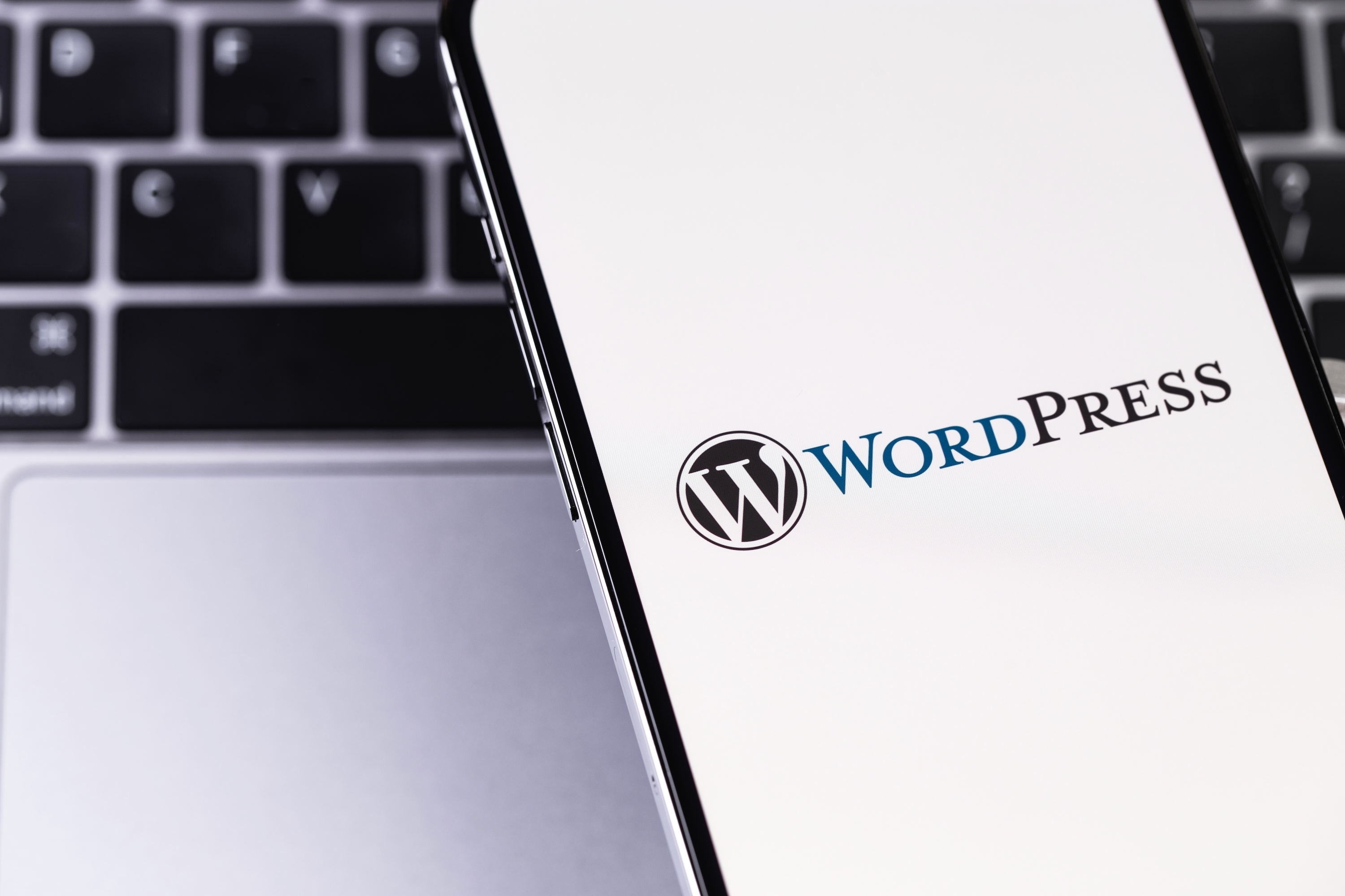 WordPress comparte las principales vitales web de 2023 y su impacto en la Web