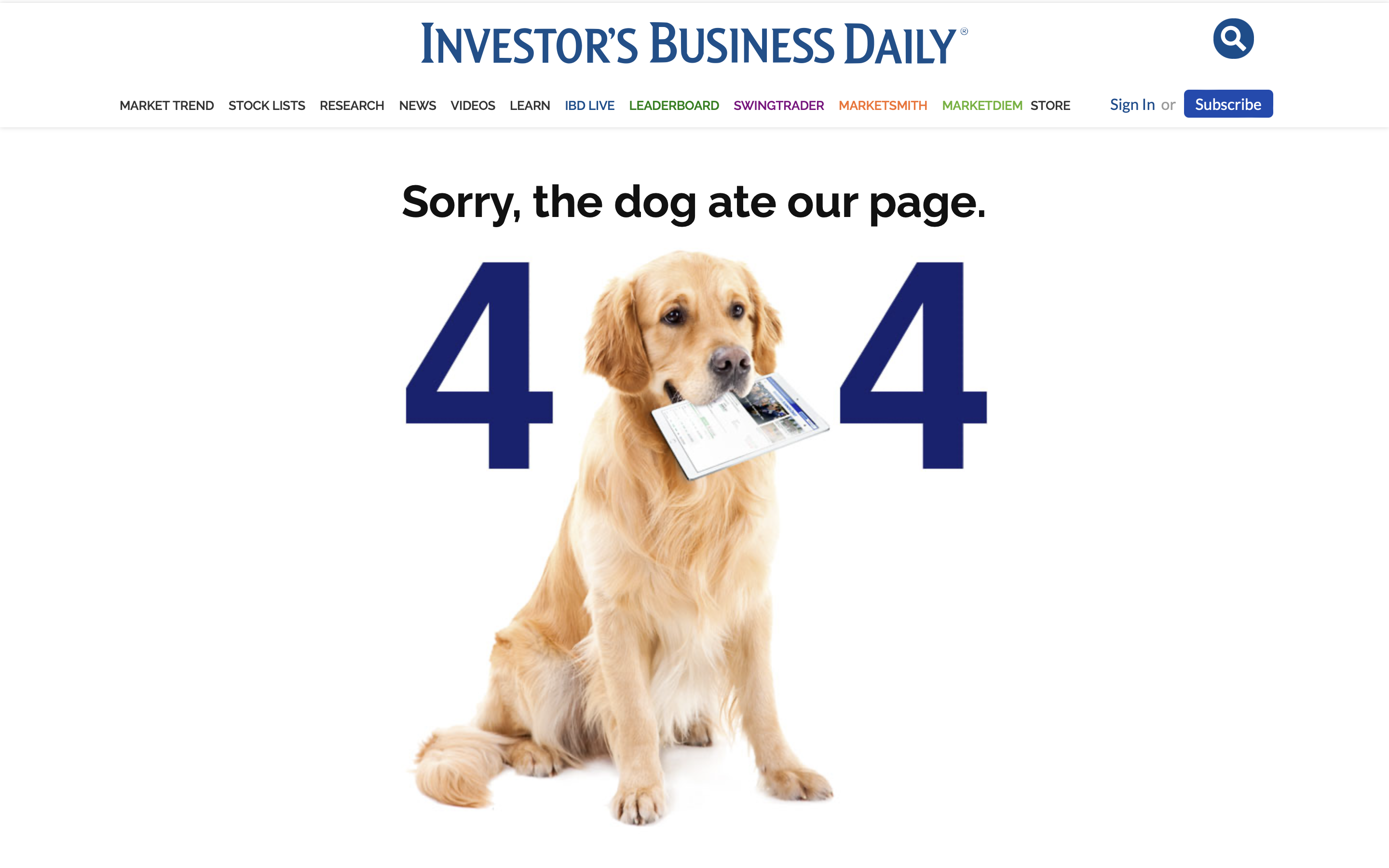 Investors 404