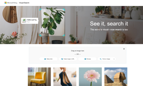 Screenshot of Microsoft Bing Visual Search 