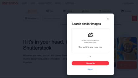 Screenshot of “Search similar images” Shutterstock
