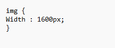 An representation  of CSS codification  indicating that the representation  should ever  been 1600 pixels