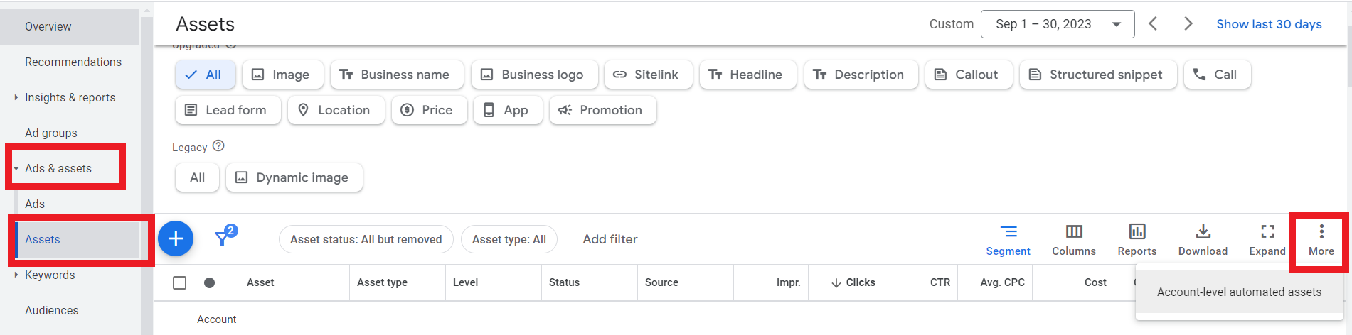 Where to find   Google Ads automated assets.